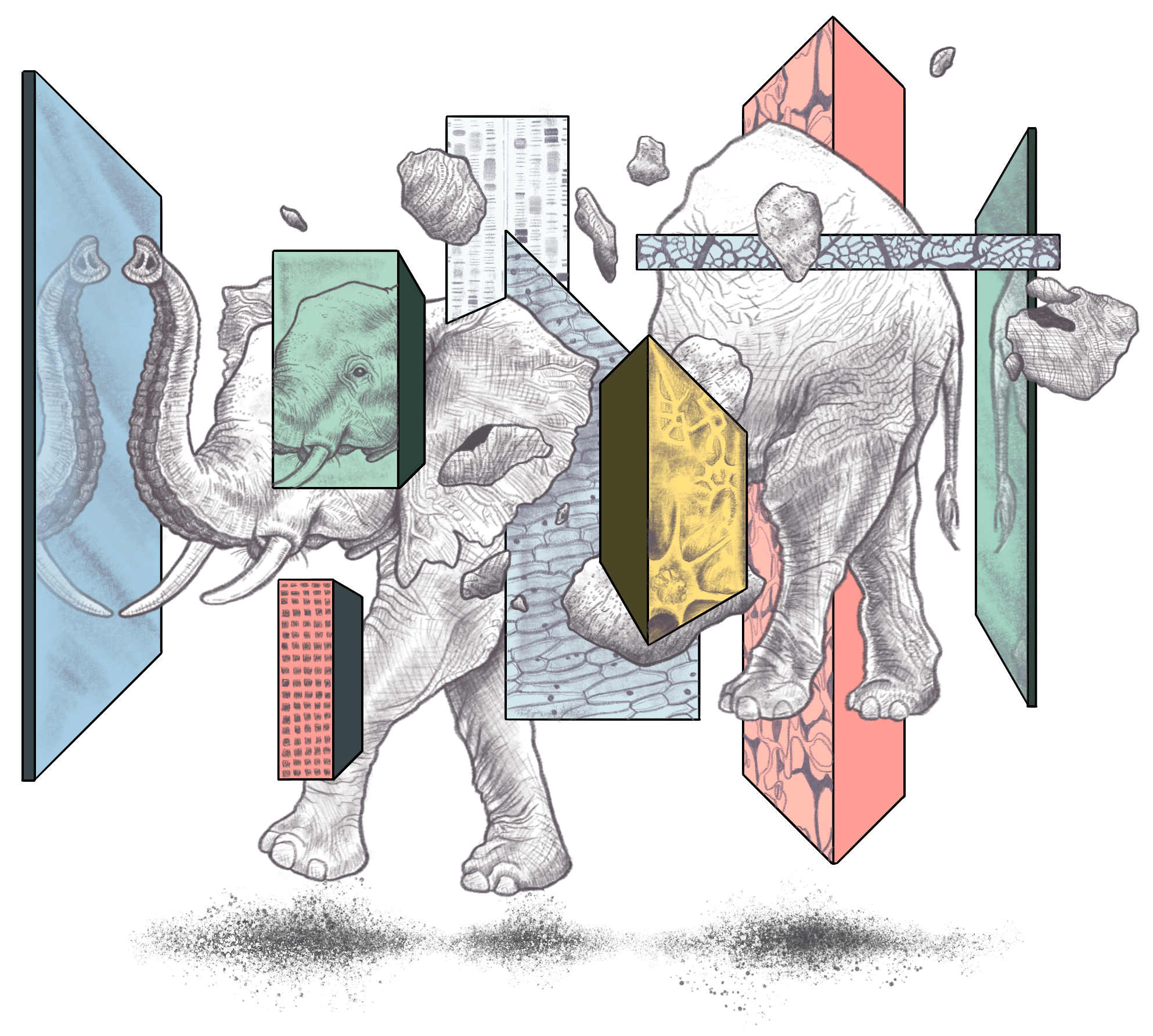 Privacy_elephant-refactored2 Privacy_elephant-refactored2